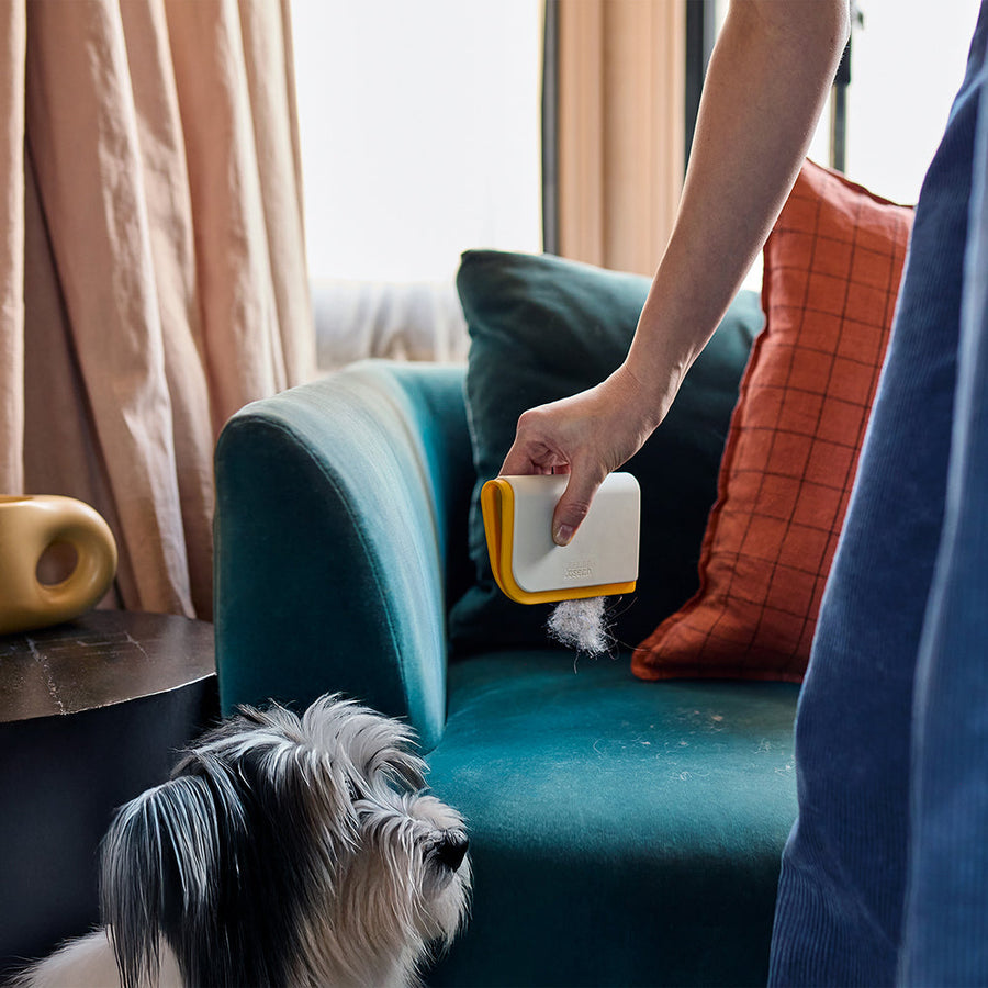 The Ultimate Guide to Cleaning with Pets